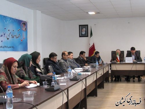 بیش از 115درصد از تعهد اشتغال دستگاه ها در شهرستان انجام شده است