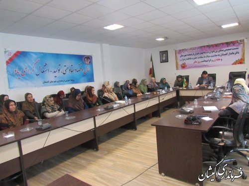 دیدار مشاورین بانوان دستگاه ها، بانوان فرهیخته و کارآفرین شهرستان با فرماندار گمیشان