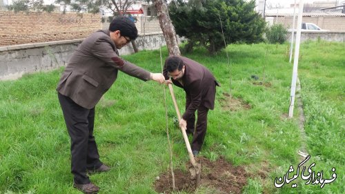 هفته منابع طبیعی فرصتی برای ترویج فرهنگ حسنه درختکاری است