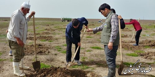 درخت سرمایه ارزشمندی که باحفظ هوا،آب وخاک نقش مهمی رادر زندگی ایفا می کند