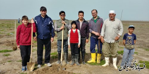 درخت سرمایه ارزشمندی که باحفظ هوا،آب وخاک نقش مهمی رادر زندگی ایفا می کند
