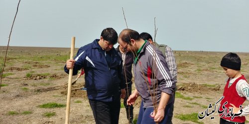 درخت سرمایه ارزشمندی که باحفظ هوا،آب وخاک نقش مهمی رادر زندگی ایفا می کند