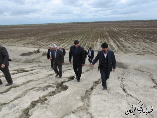 بازدید فرماندار و رئیس اتاق بازرگانی گرگان از ظرفیت های سرمایه گذاری گمیشان