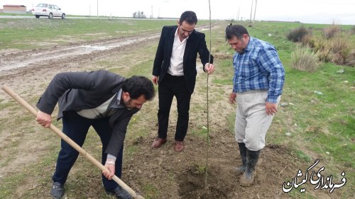 کاشت نهال محور گمیش تپه به خواجه نفس