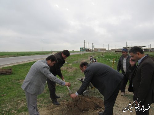 کاشت نهال حد فاصل شهر گمیش تپه و روستای صفا ایشان