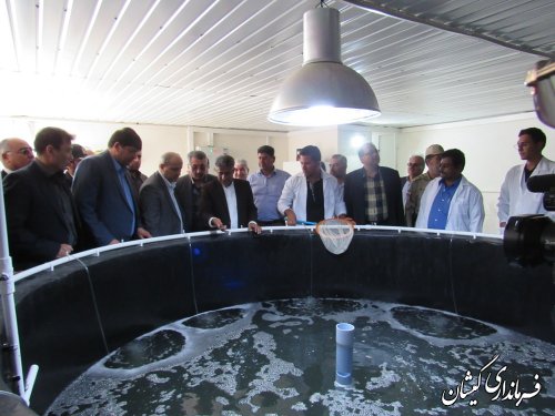 بازدید استاندار گلستان از کارگاه تولید بچه میگو محک گمیشان