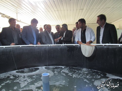 بازدید استاندار گلستان از کارگاه تولید بچه میگو محک گمیشان