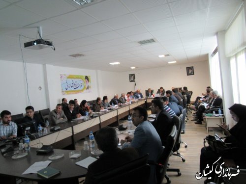 قرار گرفتن گمیشان در لیست تهیه برنامه راهبردی-عملیاتی کشور فرصتی برای گسترش طرح های اقتصاد مقاومتی