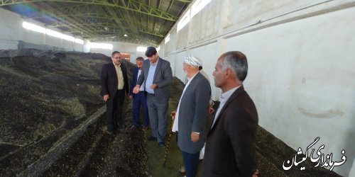 تاکنون بیش از یک هزارو 700 تن کلزای کشاورزان شهرستان خریداری شده است