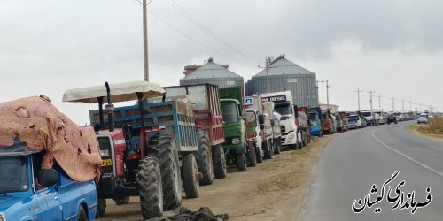 تاکنون 40 درصد از مزارع گندم شهرستان گمیشان برداشت شده است