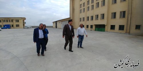 تاکنون 40 درصد از مزارع گندم شهرستان گمیشان برداشت شده است