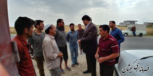 تاکنون 40 درصد از مزارع گندم شهرستان گمیشان برداشت شده است