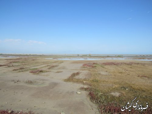 دومین جلسه هماهنگی اجرای طرح مطالعات گردشگری ساحل چارقلی  برگزار شد