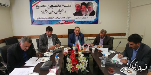 دومین جلسه کارگروه تدوین برنامه راهبردی-عملیاتی توسعه پایدار گمیشان برگزار شد