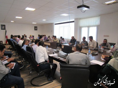 گمیشان رتبه دوم را در جشنواره کتابخوانی رضوی سال گذشته کسب کرد