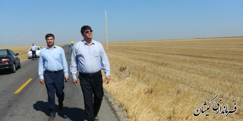 فیدر جدید ناردانلی به سیمین شهر ظرف یک هفته به بهره برداری خواهد رسید