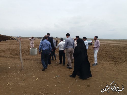 بازدید فرماندار گمیشان و مدیرکل اجتماعی و فرهنگی از سواحل شهرستان