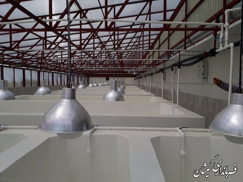 بازدید سرپرست معاونت هماهنگی امور اقتصادی و توسعه منابع استاندار از سایت میگو