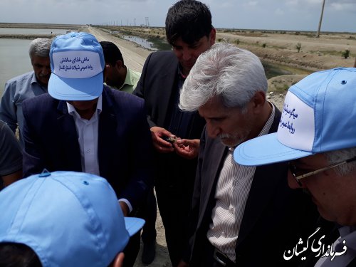 بازدید سرپرست معاونت هماهنگی امور اقتصادی و توسعه منابع استاندار از سایت میگو