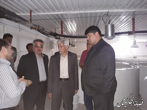 بازدید سرپرست معاونت هماهنگی امور اقتصادی و توسعه منابع استاندار از سایت میگو