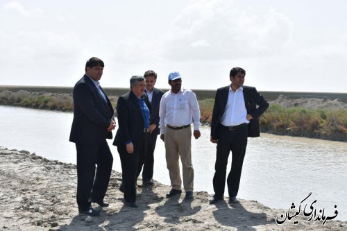 بازدید معاون استاندار از عملیات لایروبی کانال آبرسان سایت میگوی گمیشان