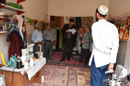 بازدید فرماندار گمیشان از طرح های مشاغل خانگی روستایی