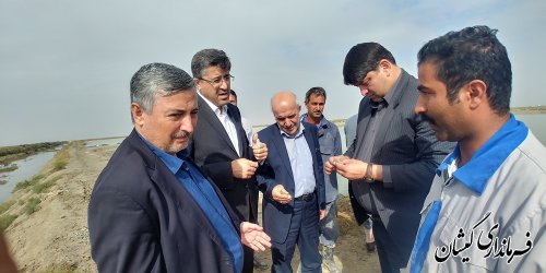 رییس سازمان امور اراضی کشور از سایت میگوی گمیشان بازدید کرد
