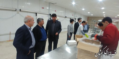 با فعال شدن واحدهای فرآوری و بسته بندی،چرخه میگو کامل می شود