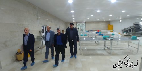 با فعال شدن واحدهای فرآوری و بسته بندی،چرخه میگو کامل می شود
