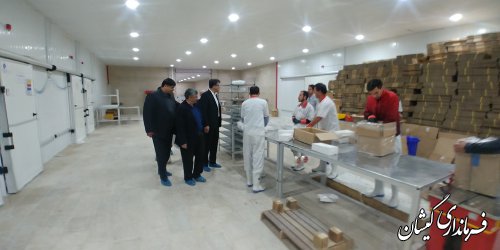با فعال شدن واحدهای فرآوری و بسته بندی،چرخه میگو کامل می شود