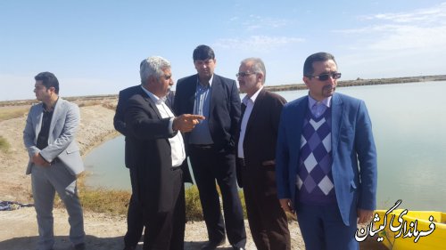 بازدید فرماندار و رئیس سازمان مدیریت و برنامه ریزی از سایت میگو گمیشان