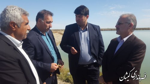 بازدید فرماندار و رئیس سازمان مدیریت و برنامه ریزی از سایت میگو گمیشان