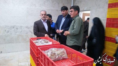 ایجاد اشتغال برای 150 نفر با فعالیت واحد فرآوری میگو