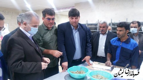 ایجاد اشتغال برای 150 نفر با فعالیت واحد فرآوری میگو