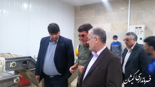 ایجاد اشتغال برای 150 نفر با فعالیت واحد فرآوری میگو
