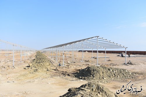 بازدید فرماندار گمیشان از پیشرفت پروژه پرورش شترمرغ