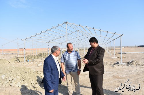 بازدید فرماندار گمیشان از پیشرفت پروژه پرورش شترمرغ