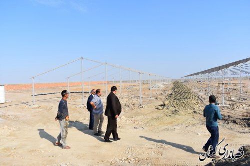 بازدید فرماندار گمیشان از پیشرفت پروژه پرورش شترمرغ