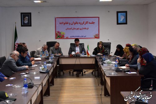 183 طرح اقتصادی ویژه بانوان در کمیته فنی اشتغال به تصویب رسید