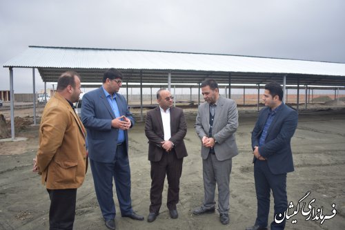 بازدید فرماندار گمیشان ومدیرکل روستایی استانداری از پروژه پرورش شتر مرغ 