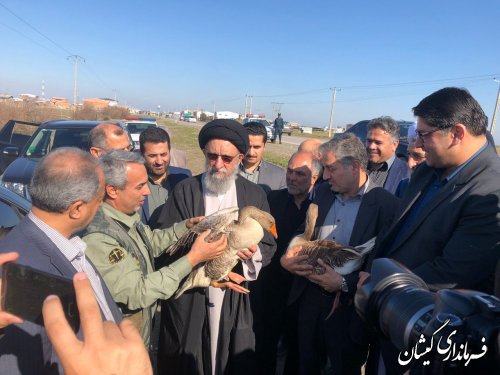 رهاسازی دو قطعه پرنده در محدوده شهرستان گمیشان