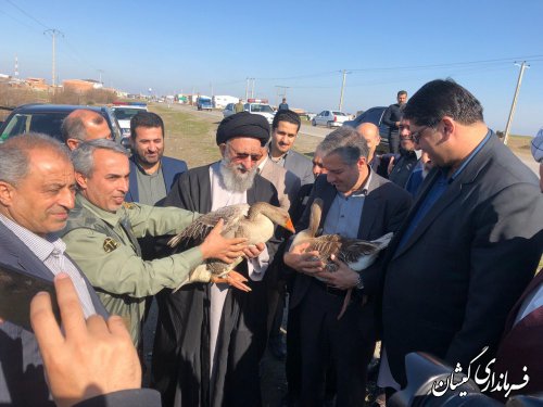 رهاسازی دو قطعه پرنده در محدوده شهرستان گمیشان