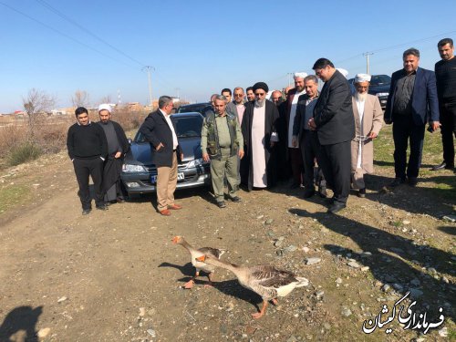 رهاسازی دو قطعه پرنده در محدوده شهرستان گمیشان