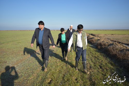 هماهنگی جهت اعزام بیل های مکانیکی برای هدایت آب های سطحی زمین ها انجام شد