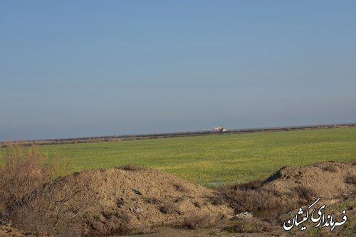 هماهنگی جهت اعزام بیل های مکانیکی برای هدایت آب های سطحی زمین ها انجام شد