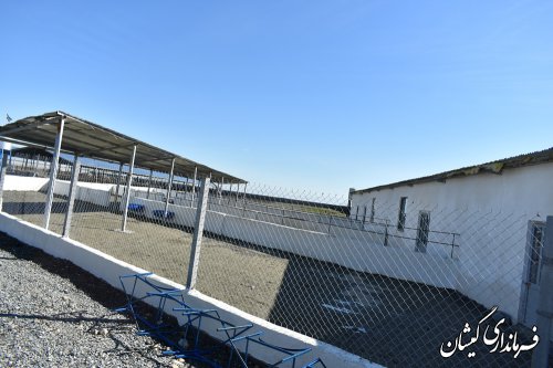 پروژه پرورش شترمرغ با اعتبار12میلیارد ریال درروستای آلتین تخماق گمیشان افتتاح شد