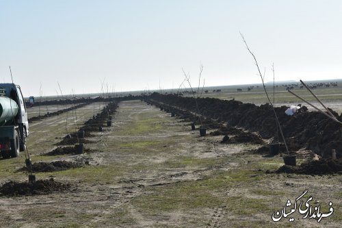 عملیات اجرایی بوستان محلی یک هکتاری سیمین شهر آغاز شد