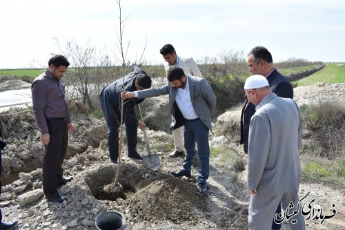 عملیات اجرایی بوستان محلی یک هکتاری گمیش تپه آغاز شد