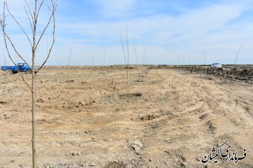 عملیات اجرایی بوستان محلی یک هکتاری گمیش تپه آغاز شد