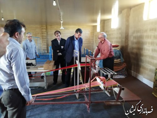 سرپرست فرمانداری گمیشان از طرح ایجاد اشتغال پایدار بازدید کرد